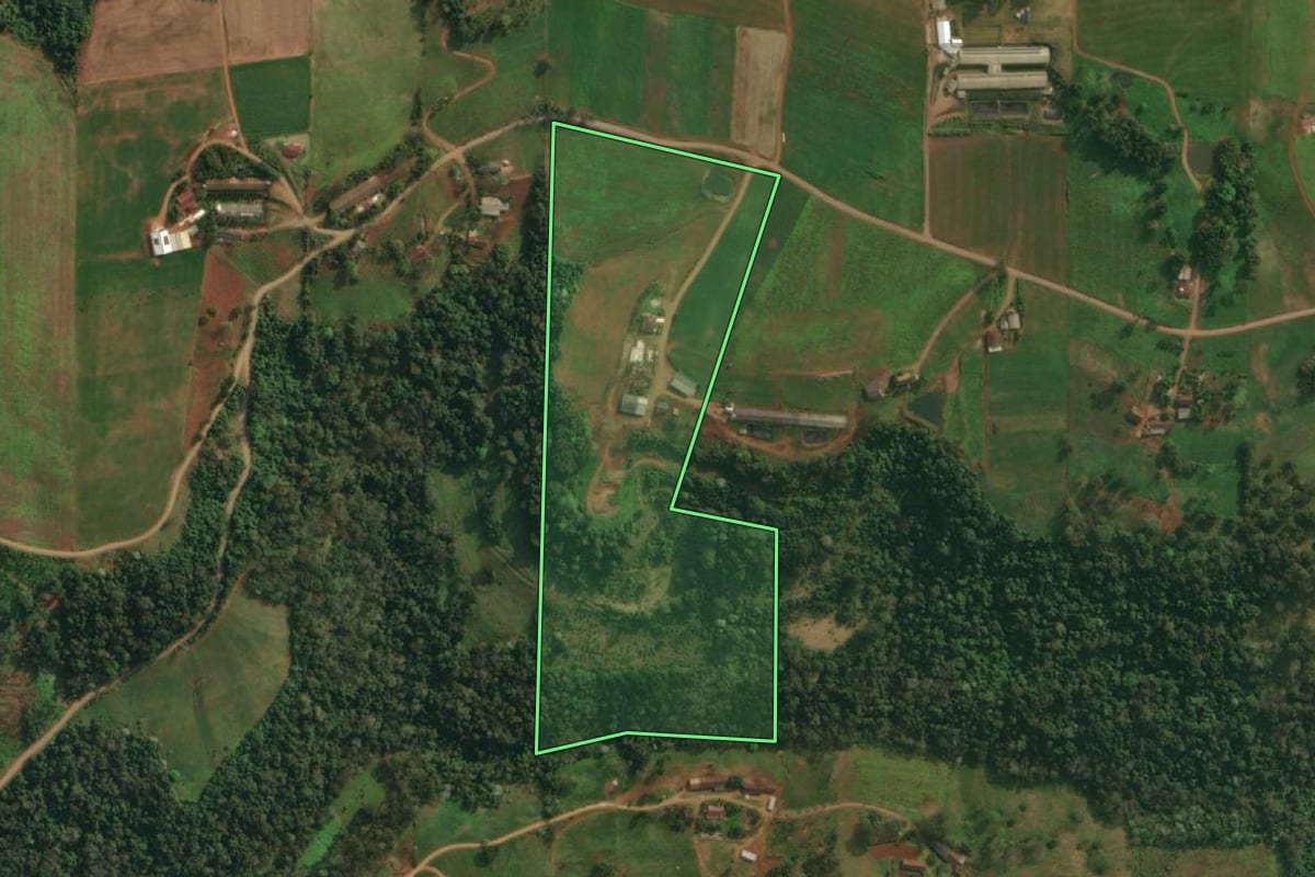 Imagem de satélite do imóvel rural em Itapiranga (SC), com o contorno declarado no CAR desenhado por cima.