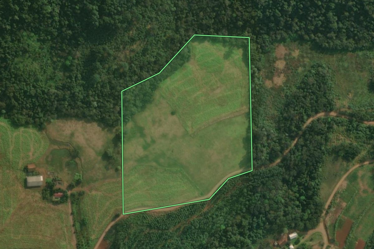 Imagem de satélite do imóvel rural em Itapiranga (SC), com o contorno declarado no CAR desenhado por cima.