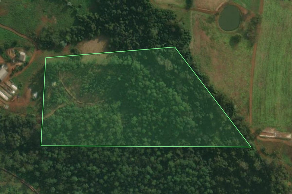 Imagem de satélite do imóvel rural em Itapiranga (SC), com o contorno declarado no CAR desenhado por cima.