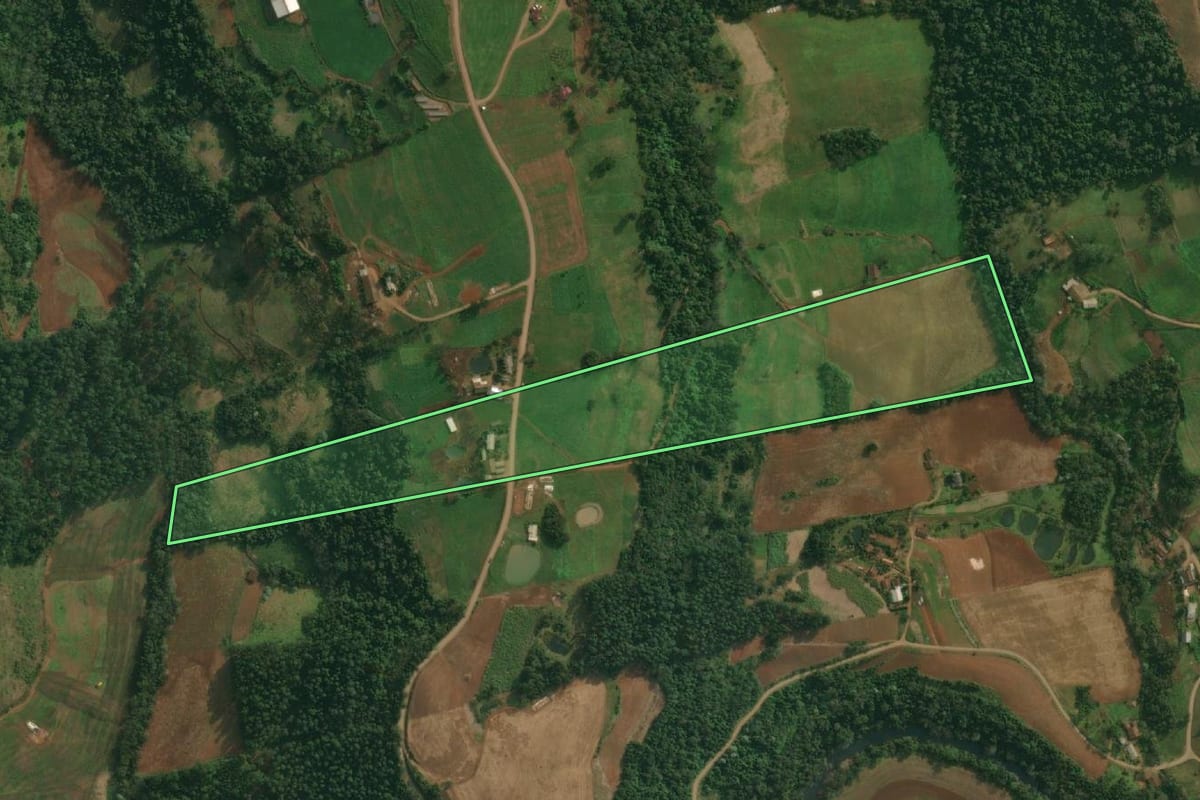 Imagem de satélite do imóvel rural em Itapiranga (SC), com o contorno declarado no CAR desenhado por cima.