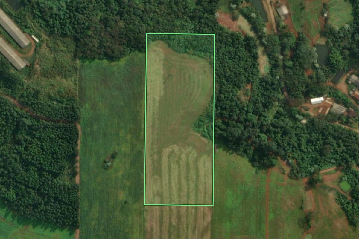 Imagem de satélite do imóvel rural em Itapiranga (SC), com o contorno declarado no CAR desenhado por cima.