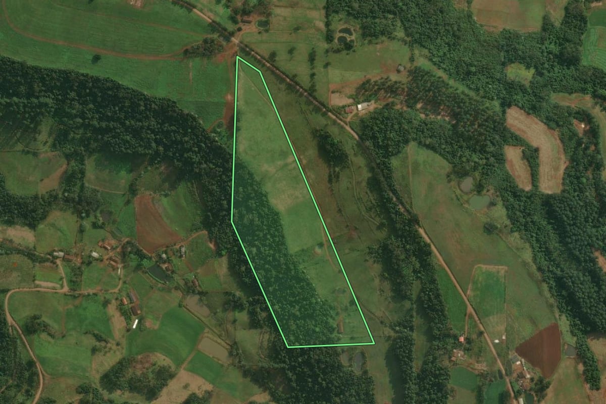 Imagem de satélite do imóvel rural em Itapiranga (SC), com o contorno declarado no CAR desenhado por cima.