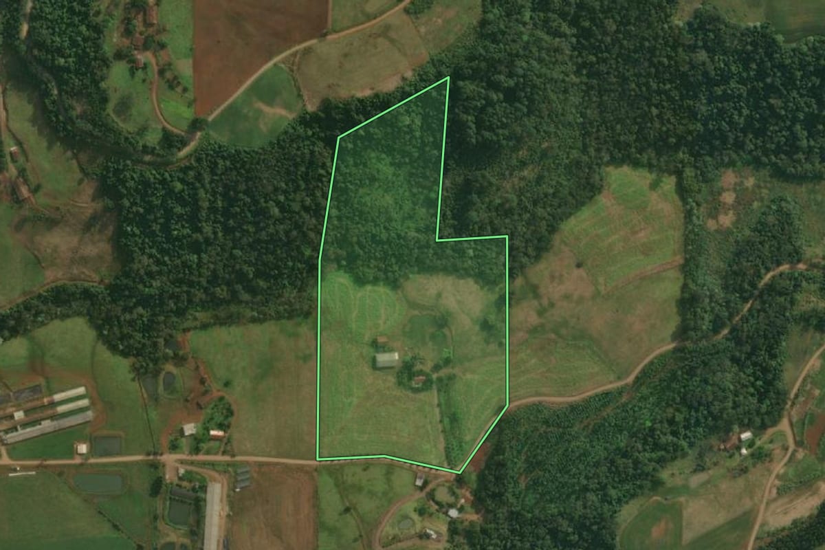 Imagem de satélite do imóvel rural em Itapiranga (SC), com o contorno declarado no CAR desenhado por cima.