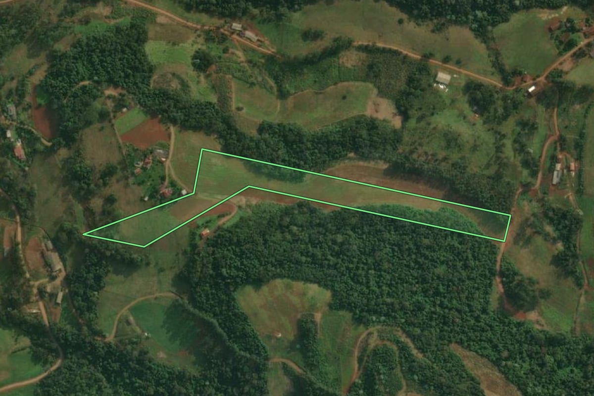 Imagem de satélite do imóvel rural em Itapiranga (SC), com o contorno declarado no CAR desenhado por cima.
