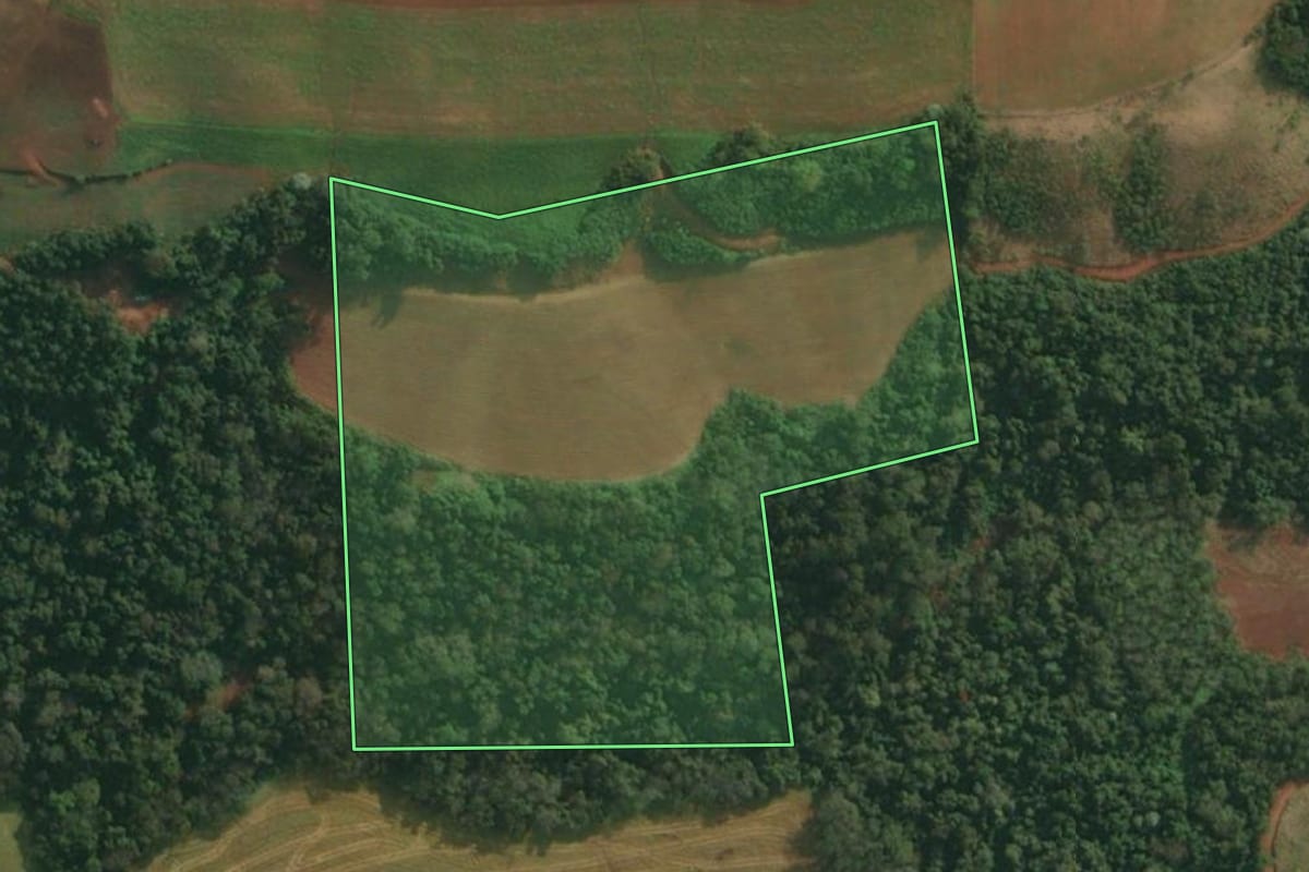 Imagem de satélite do imóvel rural em Itapiranga (SC), com o contorno declarado no CAR desenhado por cima.