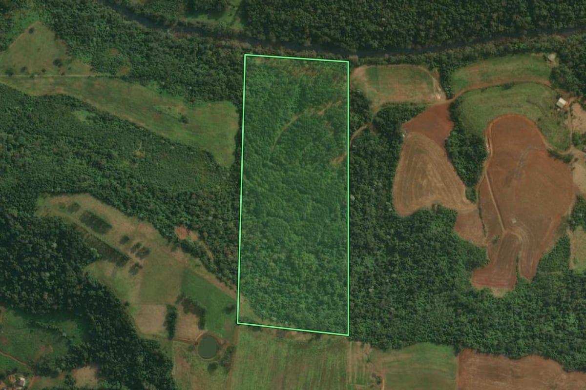 Imagem de satélite do imóvel rural em Itapiranga (SC), com o contorno declarado no CAR desenhado por cima.