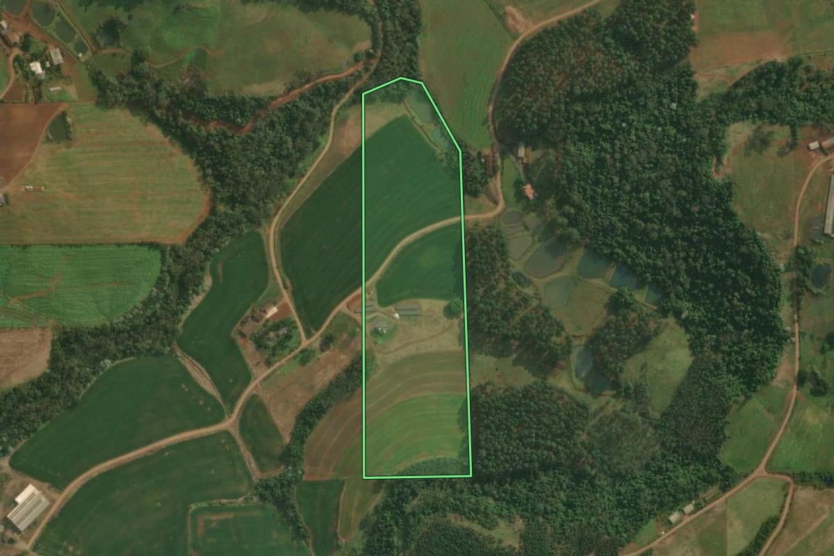 Imagem de satélite do imóvel rural em Itapiranga (SC), com o contorno declarado no CAR desenhado por cima.
