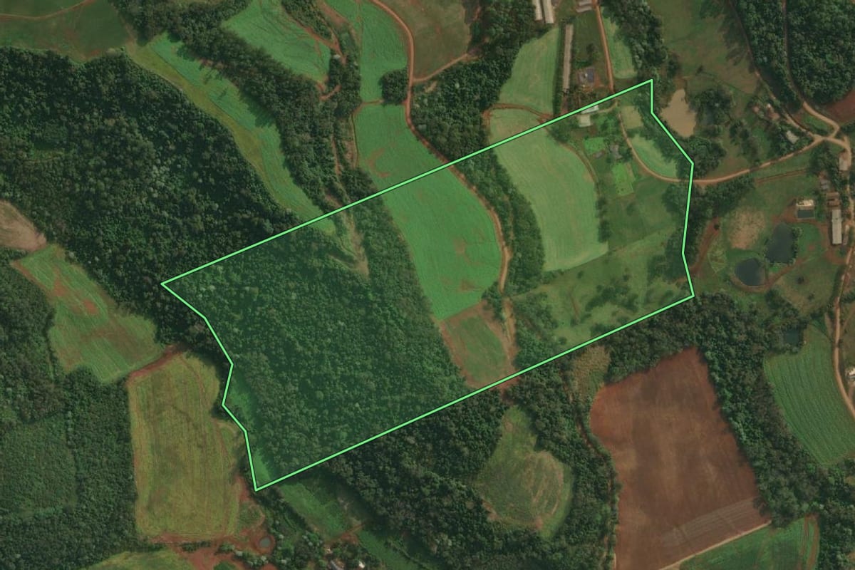 Imagem de satélite do imóvel rural em Itapiranga (SC), com o contorno declarado no CAR desenhado por cima.