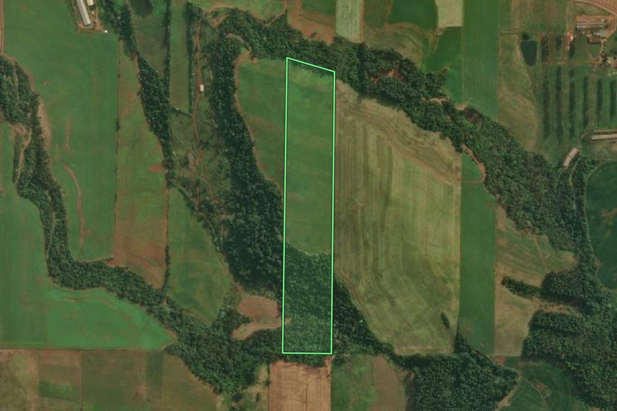Imagem de satélite do imóvel rural em Itapiranga (SC), com o contorno declarado no CAR desenhado por cima.