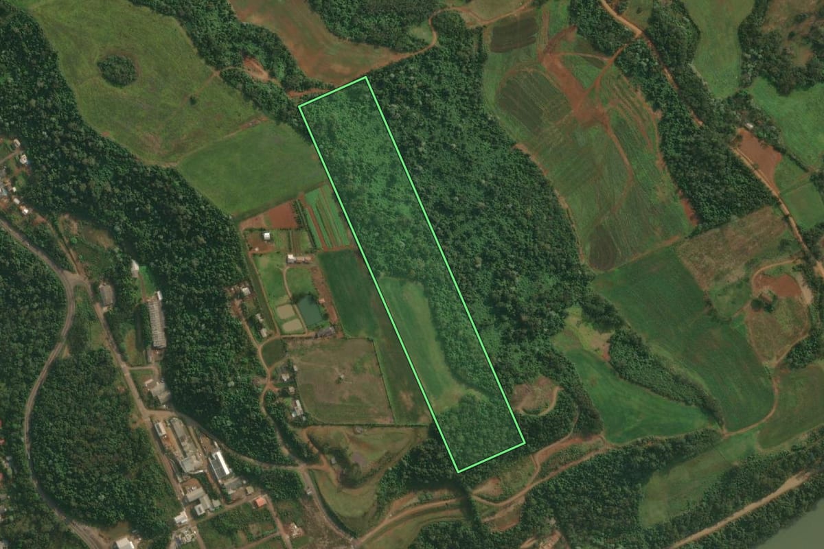 Imagem de satélite do imóvel rural em Itapiranga (SC), com o contorno declarado no CAR desenhado por cima.