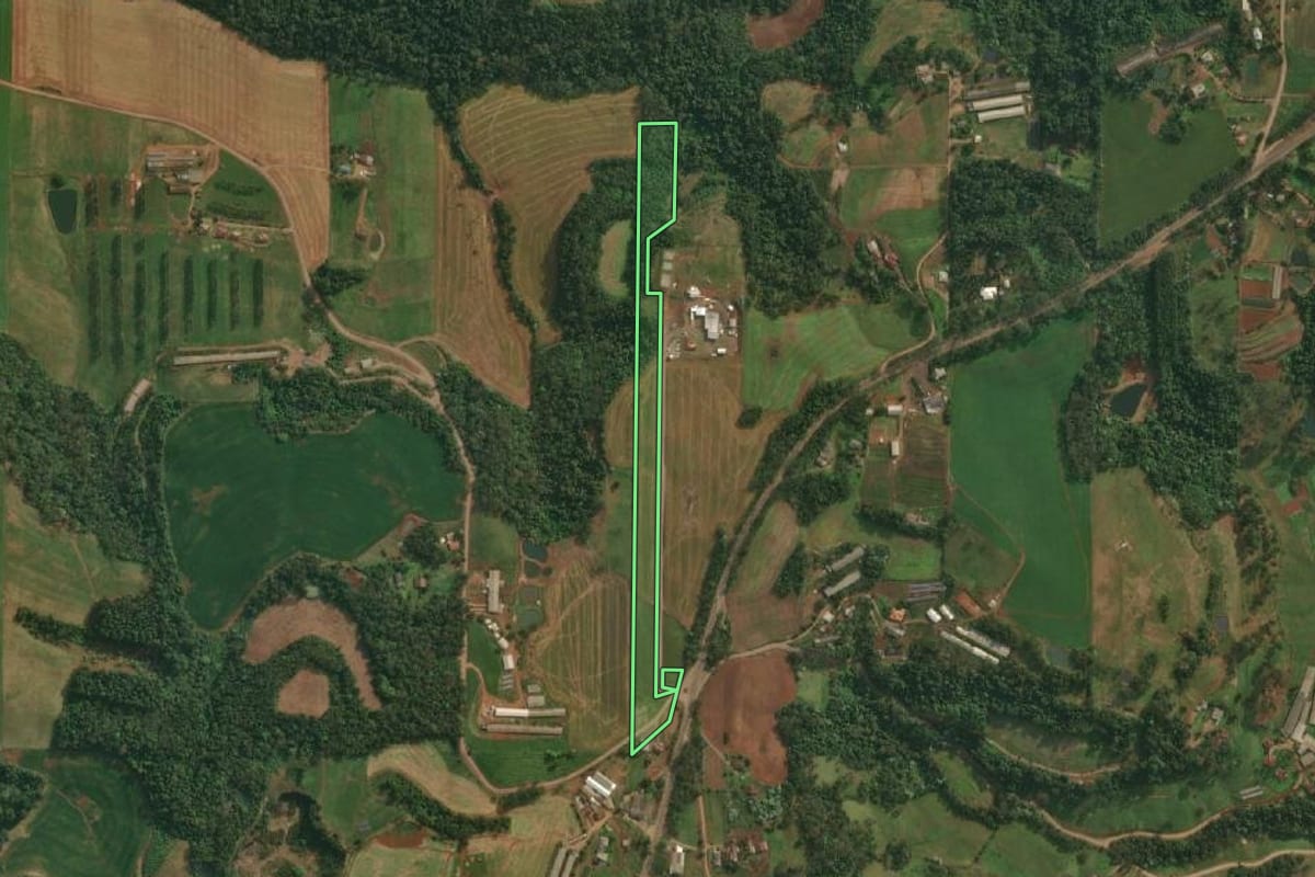 Imagem de satélite do imóvel rural em Itapiranga (SC), com o contorno declarado no CAR desenhado por cima.