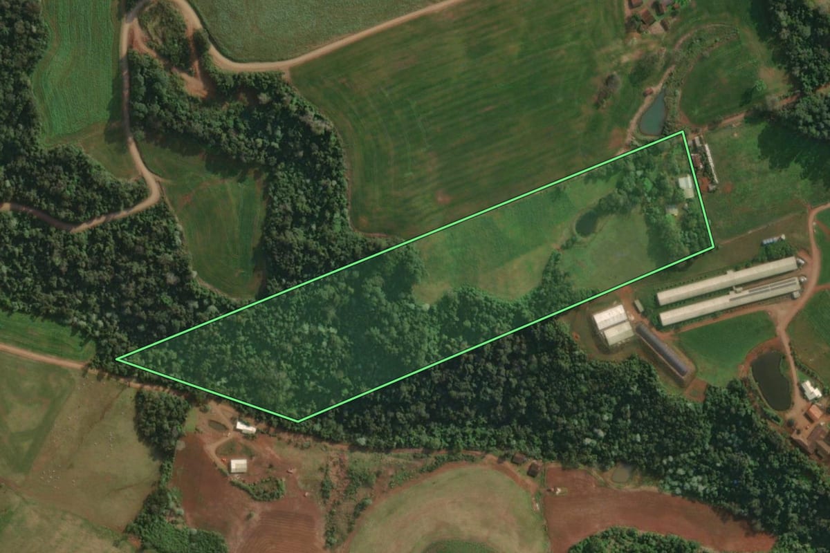 Imagem de satélite do imóvel rural em Itapiranga (SC), com o contorno declarado no CAR desenhado por cima.
