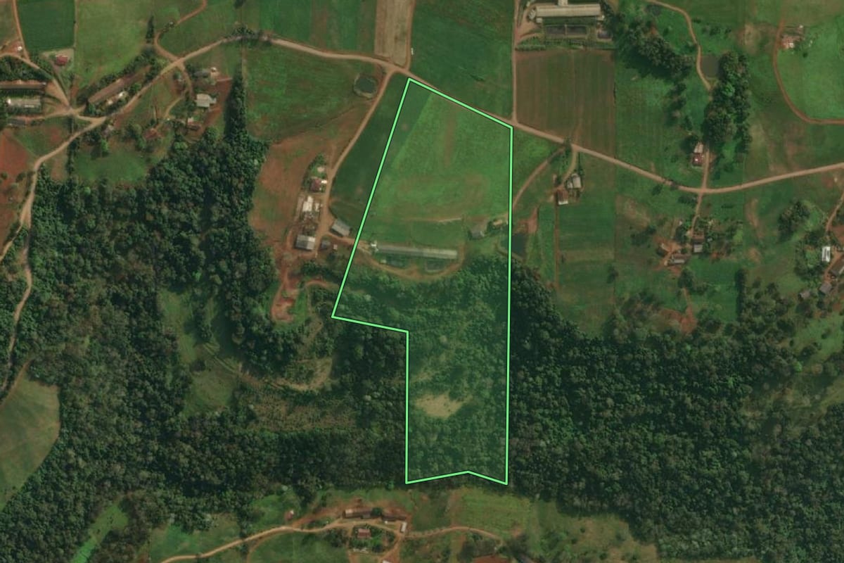 Imagem de satélite do imóvel rural em Itapiranga (SC), com o contorno declarado no CAR desenhado por cima.