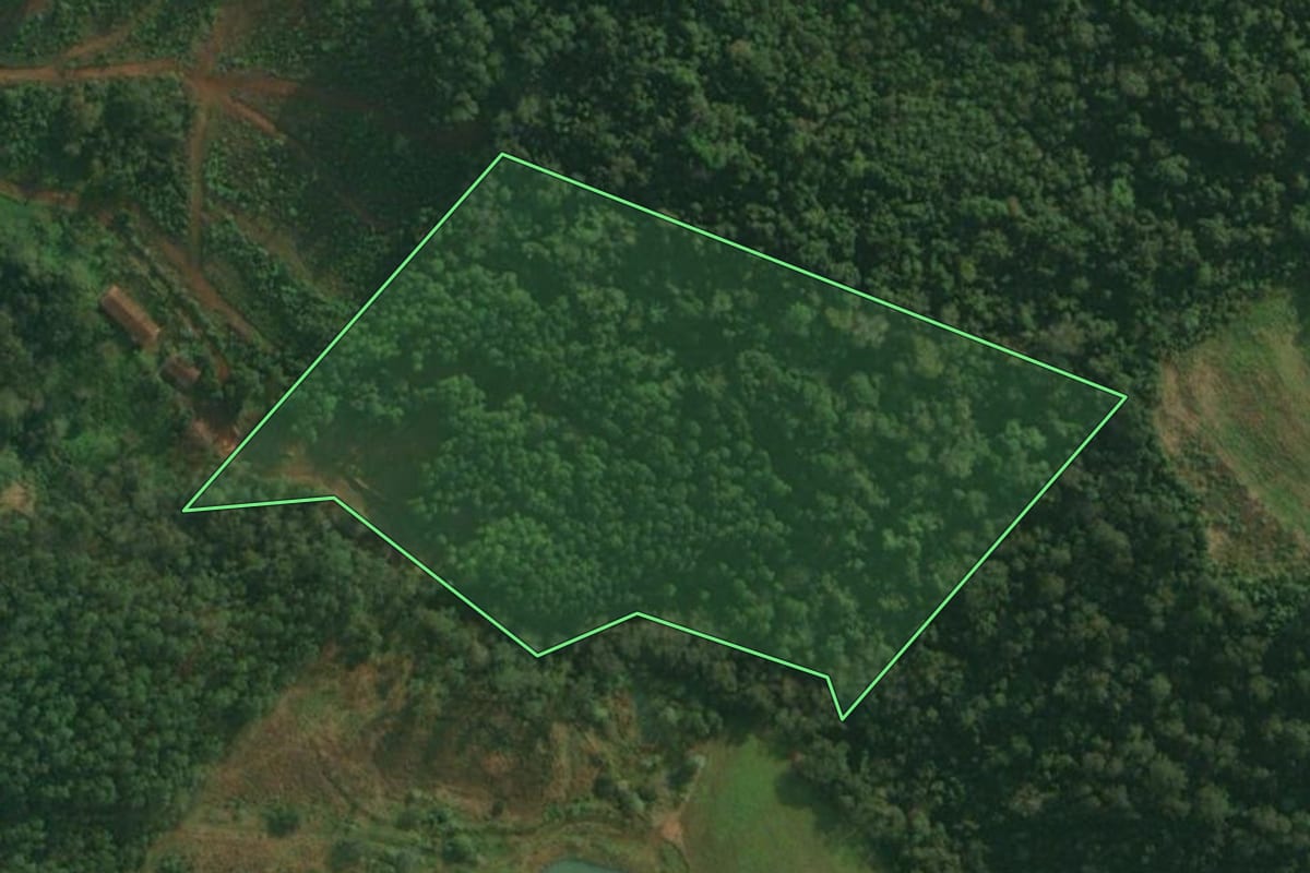 Imagem de satélite do imóvel rural em Itapiranga (SC), com o contorno declarado no CAR desenhado por cima.