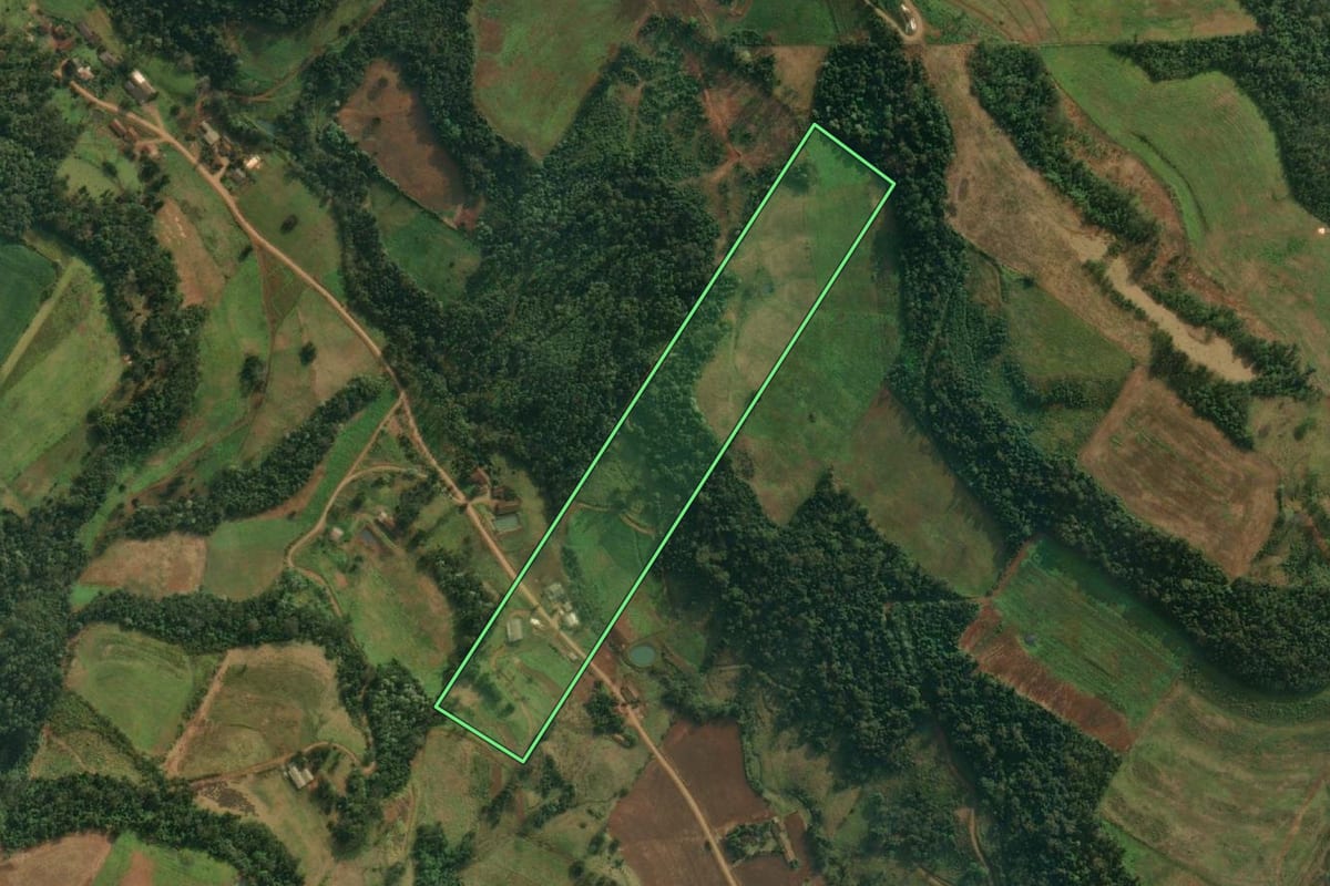 Imagem de satélite do imóvel rural em Itapiranga (SC), com o contorno declarado no CAR desenhado por cima.