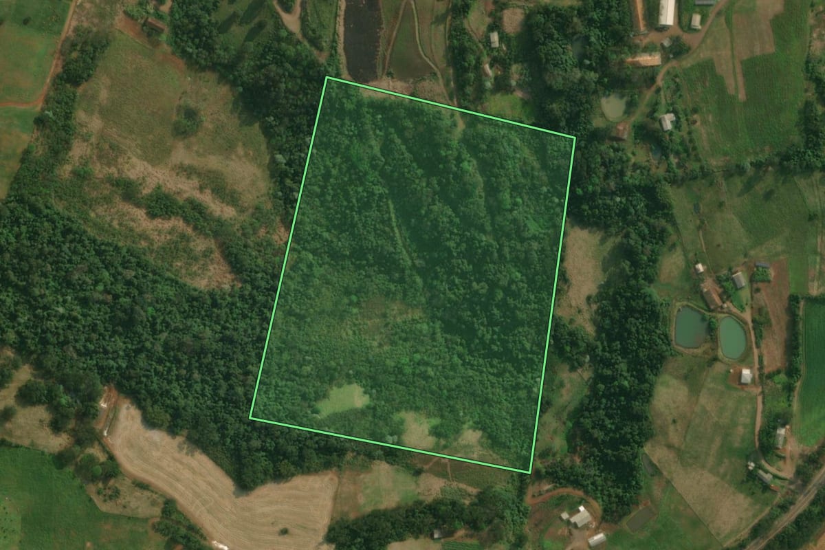 Imagem de satélite do imóvel rural em Itapiranga (SC), com o contorno declarado no CAR desenhado por cima.