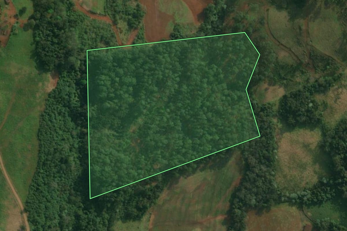 Imagem de satélite do imóvel rural em Itapiranga (SC), com o contorno declarado no CAR desenhado por cima.
