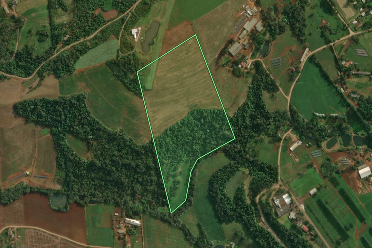 Imagem de satélite do imóvel rural em Itapiranga (SC), com o contorno declarado no CAR desenhado por cima.