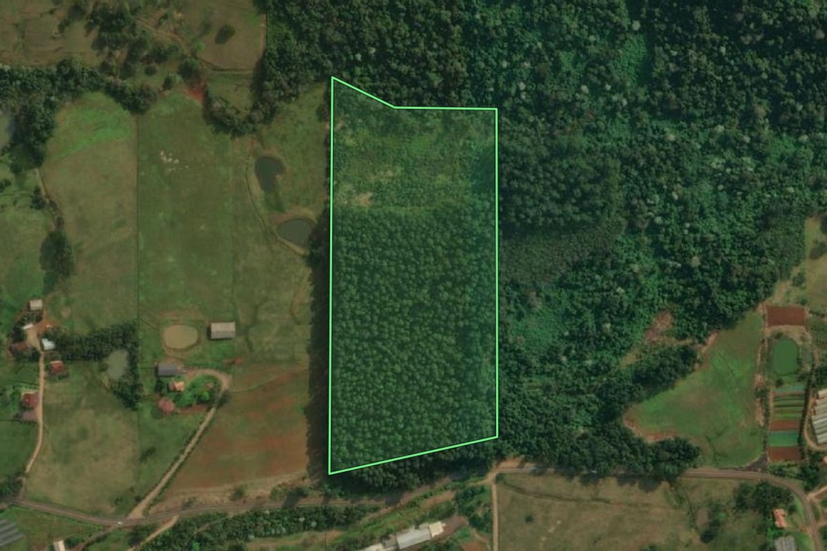 Imagem de satélite do imóvel rural em Itapiranga (SC), com o contorno declarado no CAR desenhado por cima.