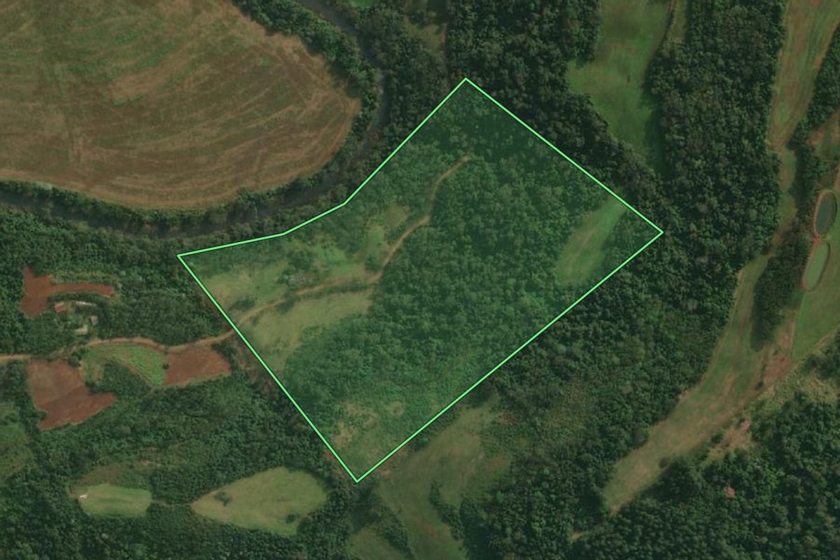 Imagem de satélite do imóvel rural em Itapiranga (SC), com o contorno declarado no CAR desenhado por cima.