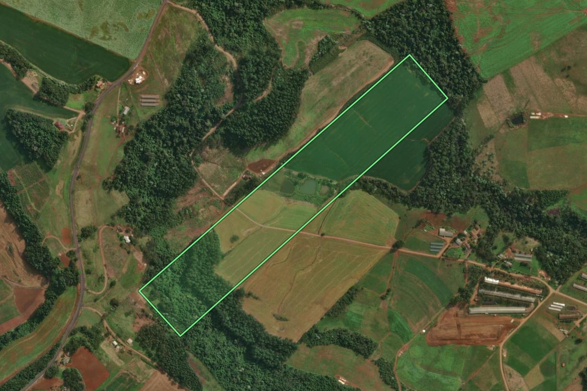 Imagem de satélite do imóvel rural em Itapiranga (SC), com o contorno declarado no CAR desenhado por cima.