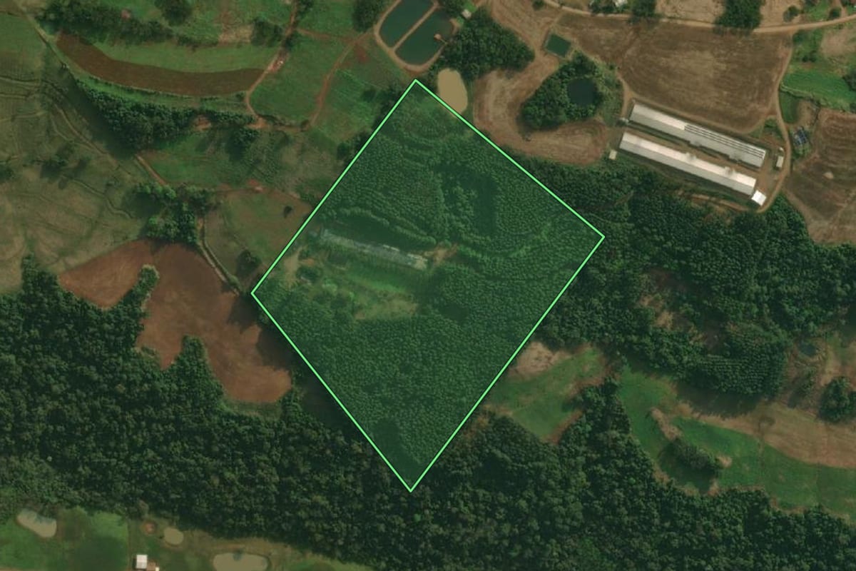Imagem de satélite do imóvel rural em Itapiranga (SC), com o contorno declarado no CAR desenhado por cima.