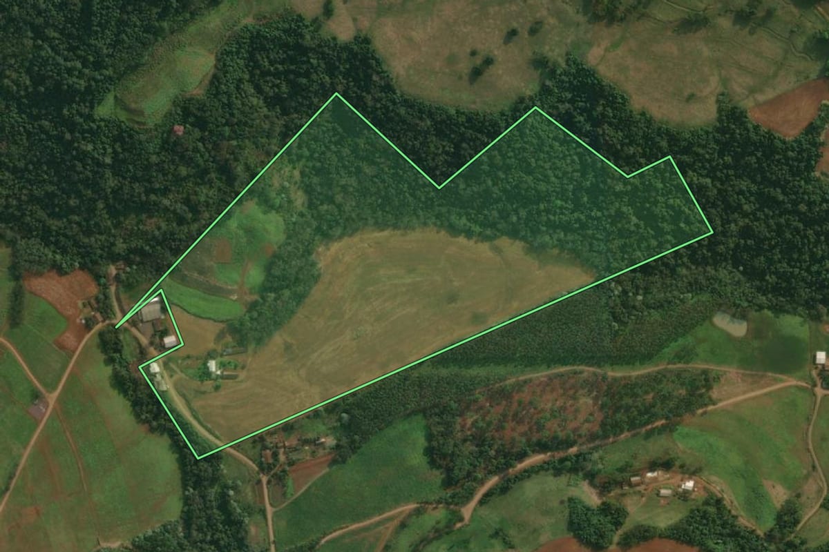 Imagem de satélite do imóvel rural em Itapiranga (SC), com o contorno declarado no CAR desenhado por cima.