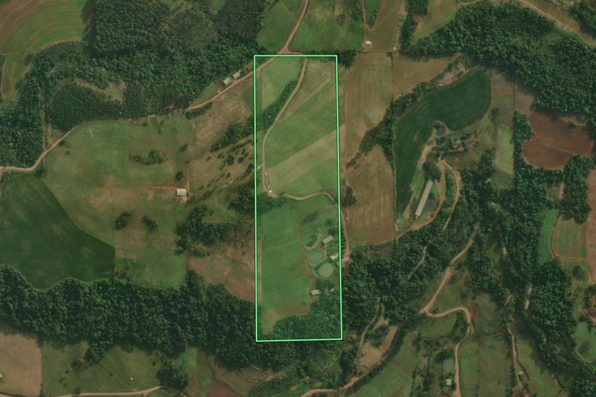 Imagem de satélite do imóvel rural em Itapiranga (SC), com o contorno declarado no CAR desenhado por cima.