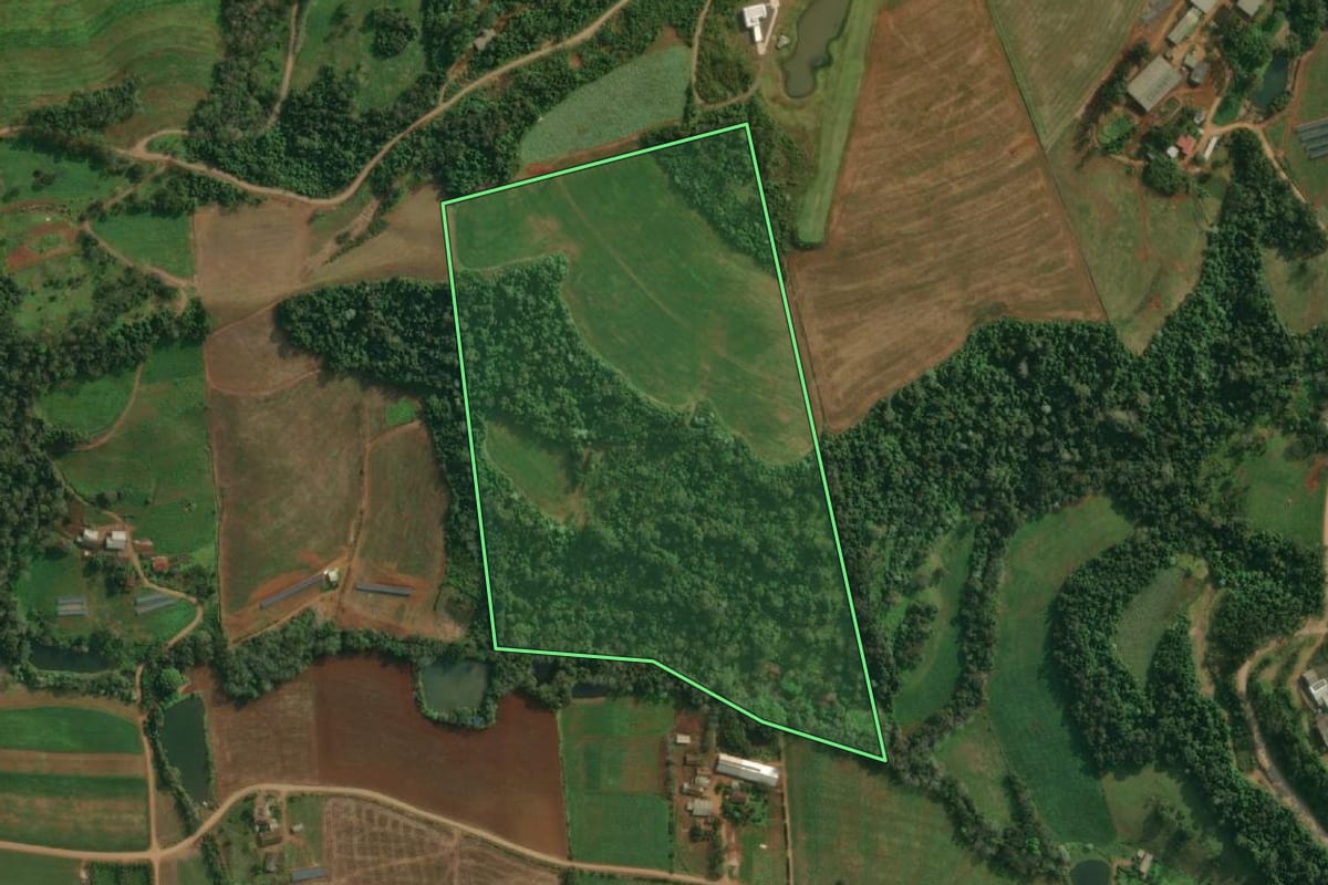 Imagem de satélite do imóvel rural em Itapiranga (SC), com o contorno declarado no CAR desenhado por cima.