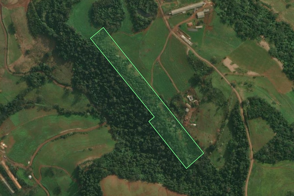Imagem de satélite do imóvel rural em Itapiranga (SC), com o contorno declarado no CAR desenhado por cima.