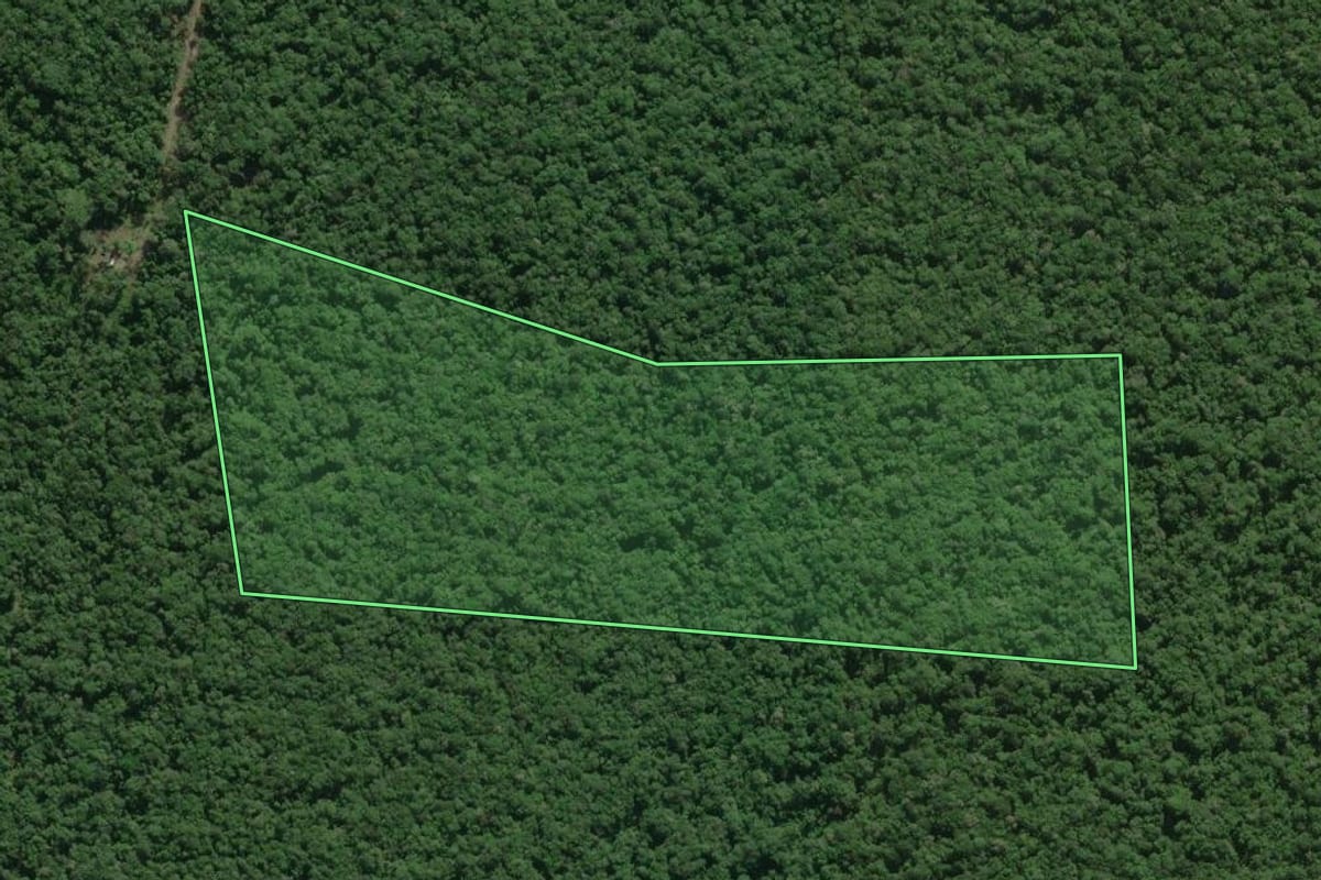 Imagem de satélite do imóvel rural em Itapoá (SC), com o contorno declarado no CAR desenhado por cima.