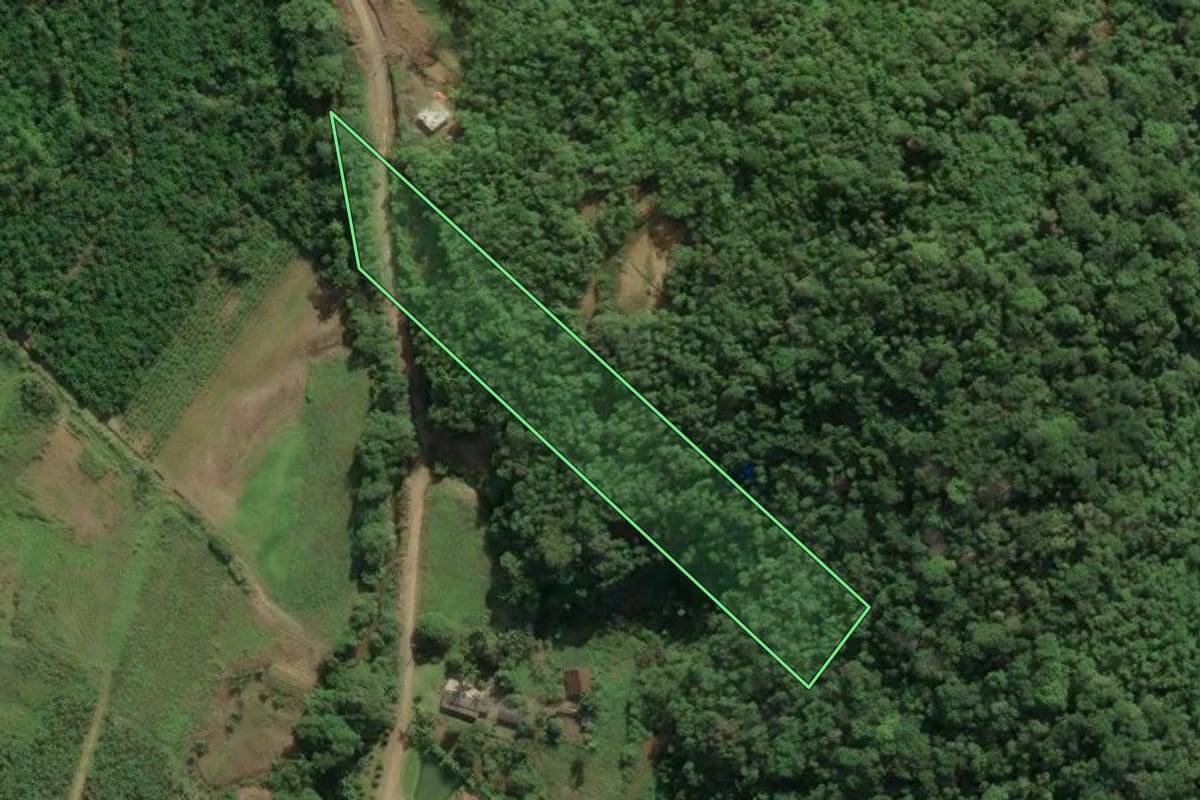 Imagem de satélite do imóvel rural em Itapoá (SC), com o contorno declarado no CAR desenhado por cima.