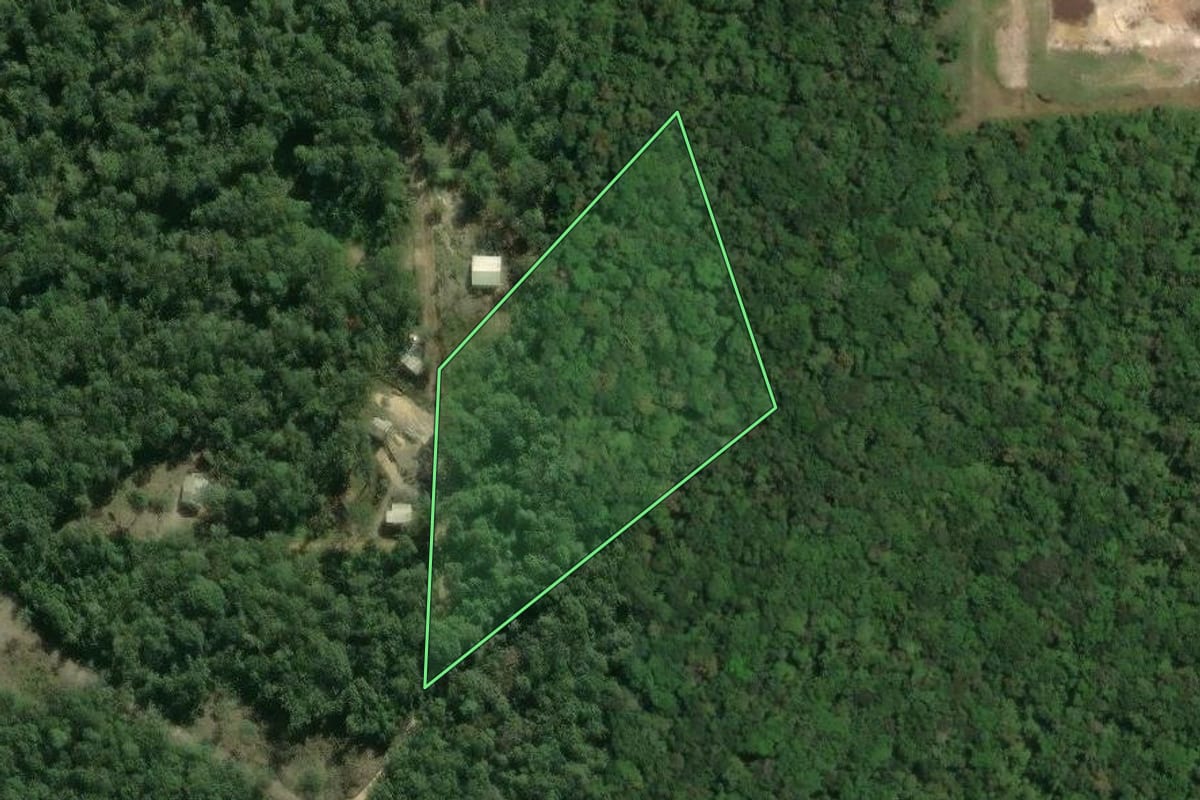 Imagem de satélite do imóvel rural em Itapoá (SC), com o contorno declarado no CAR desenhado por cima.