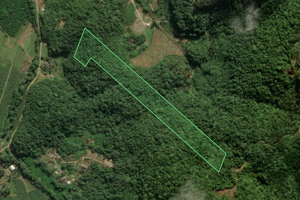 Imagem de satélite do imóvel rural em Itapoá (SC), com o contorno declarado no CAR desenhado por cima.
