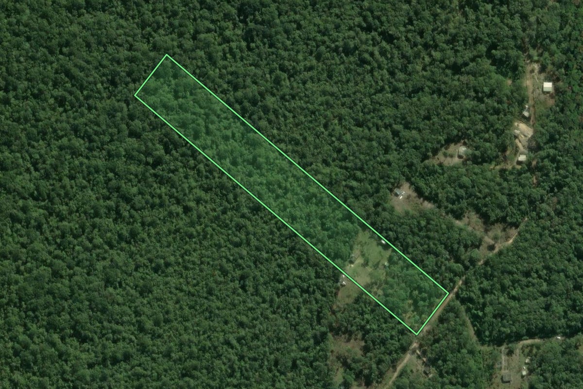 Imagem de satélite do imóvel rural em Itapoá (SC), com o contorno declarado no CAR desenhado por cima.