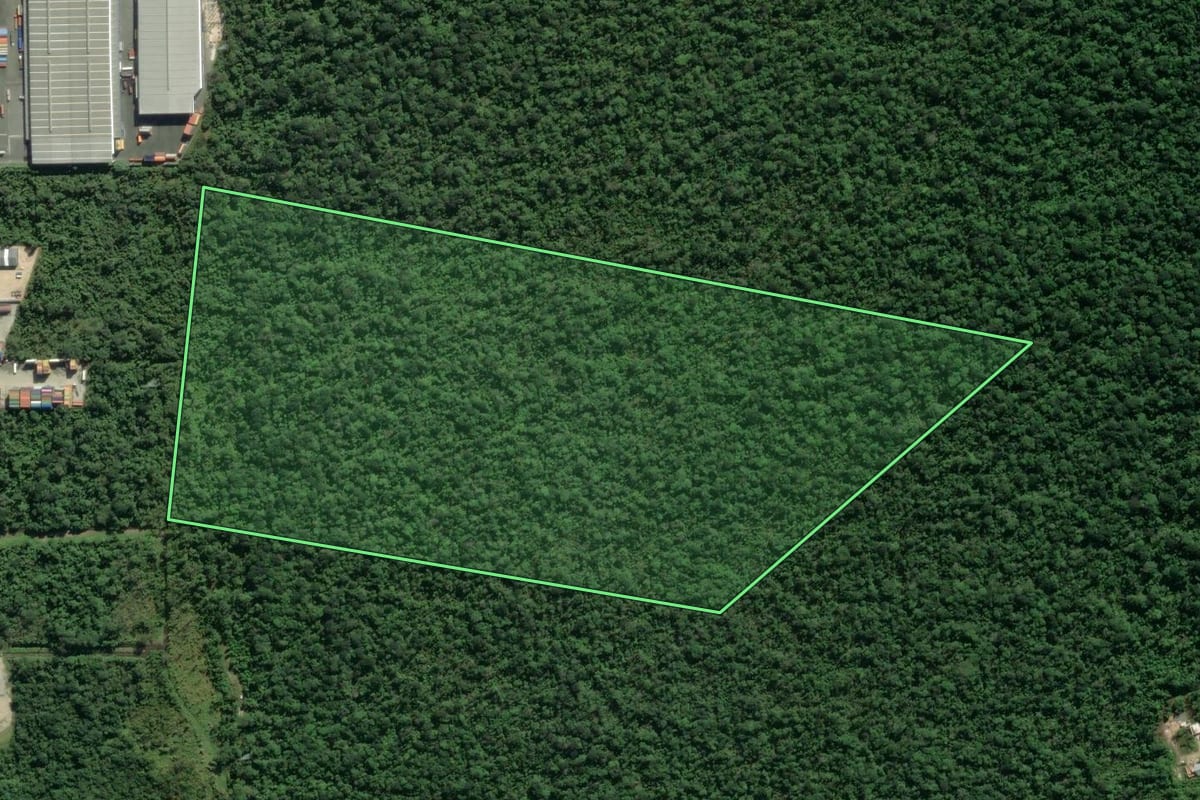 Imagem de satélite do imóvel rural em Itapoá (SC), com o contorno declarado no CAR desenhado por cima.