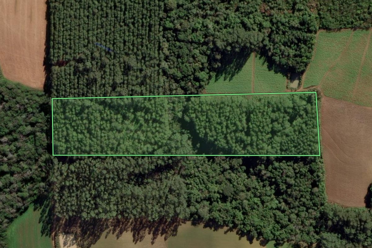 Imagem de satélite do imóvel rural em Ituporanga (SC), com o contorno declarado no CAR desenhado por cima.