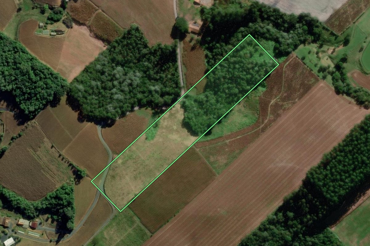 Imagem de satélite do imóvel rural em Ituporanga (SC), com o contorno declarado no CAR desenhado por cima.