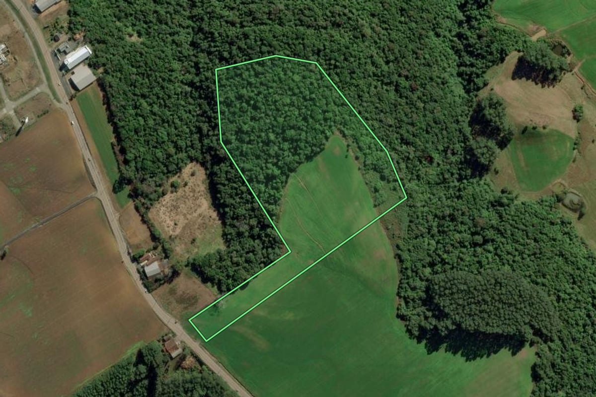 Imagem de satélite do imóvel rural em Ituporanga (SC), com o contorno declarado no CAR desenhado por cima.