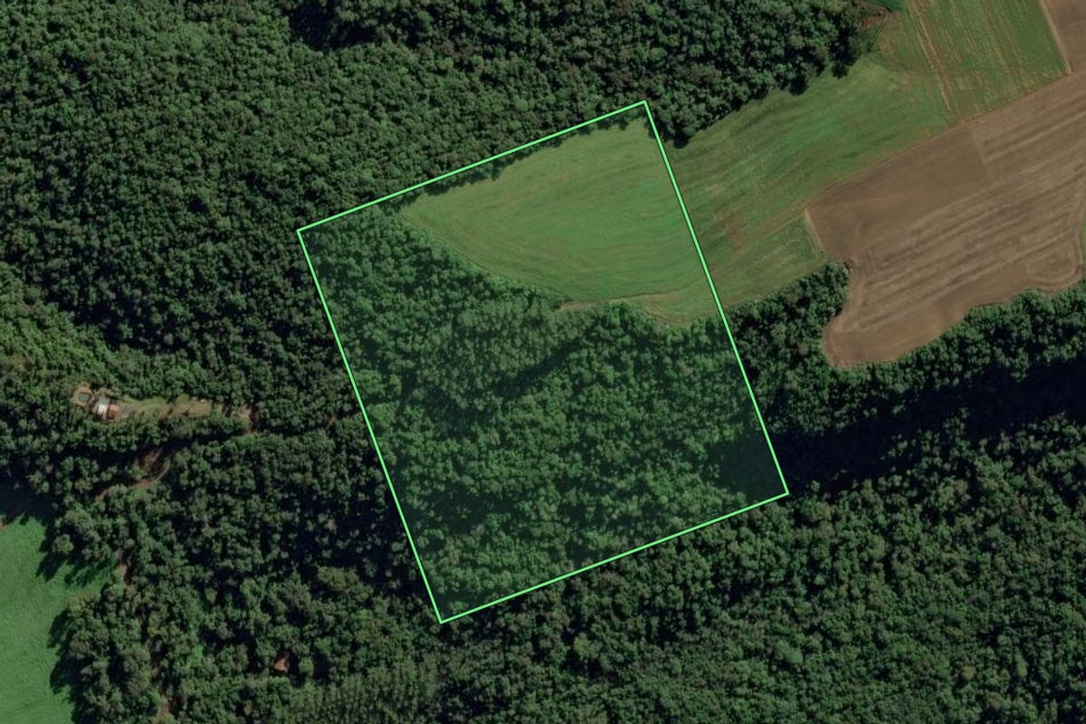 Imagem de satélite do imóvel rural em Ituporanga (SC), com o contorno declarado no CAR desenhado por cima.