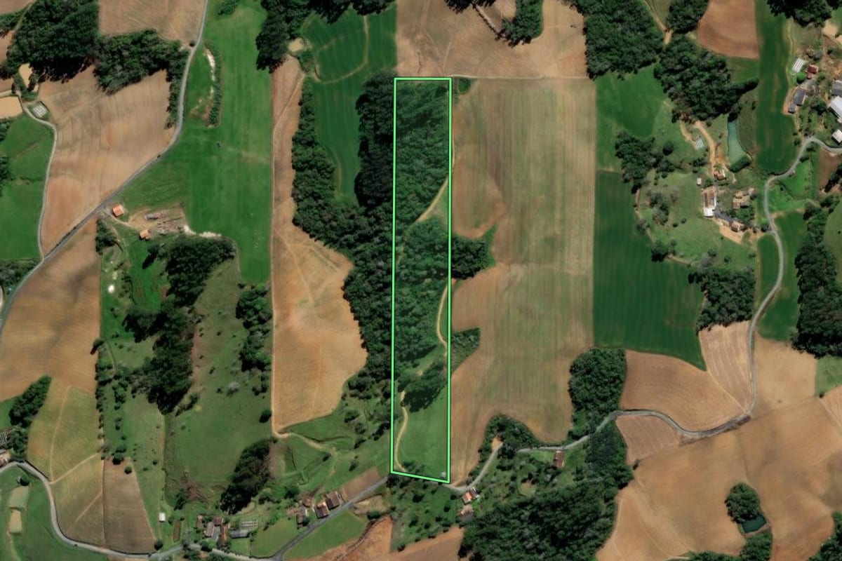 Imagem de satélite do imóvel rural em Ituporanga (SC), com o contorno declarado no CAR desenhado por cima.
