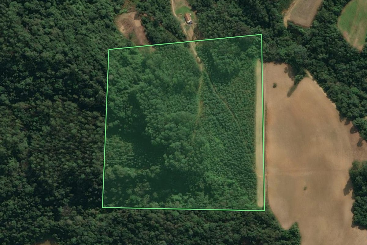 Imagem de satélite do imóvel rural em Ituporanga (SC), com o contorno declarado no CAR desenhado por cima.