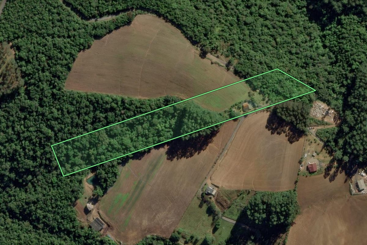 Imagem de satélite do imóvel rural em Ituporanga (SC), com o contorno declarado no CAR desenhado por cima.
