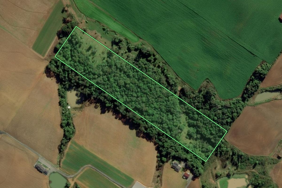 Imagem de satélite do imóvel rural em Ituporanga (SC), com o contorno declarado no CAR desenhado por cima.