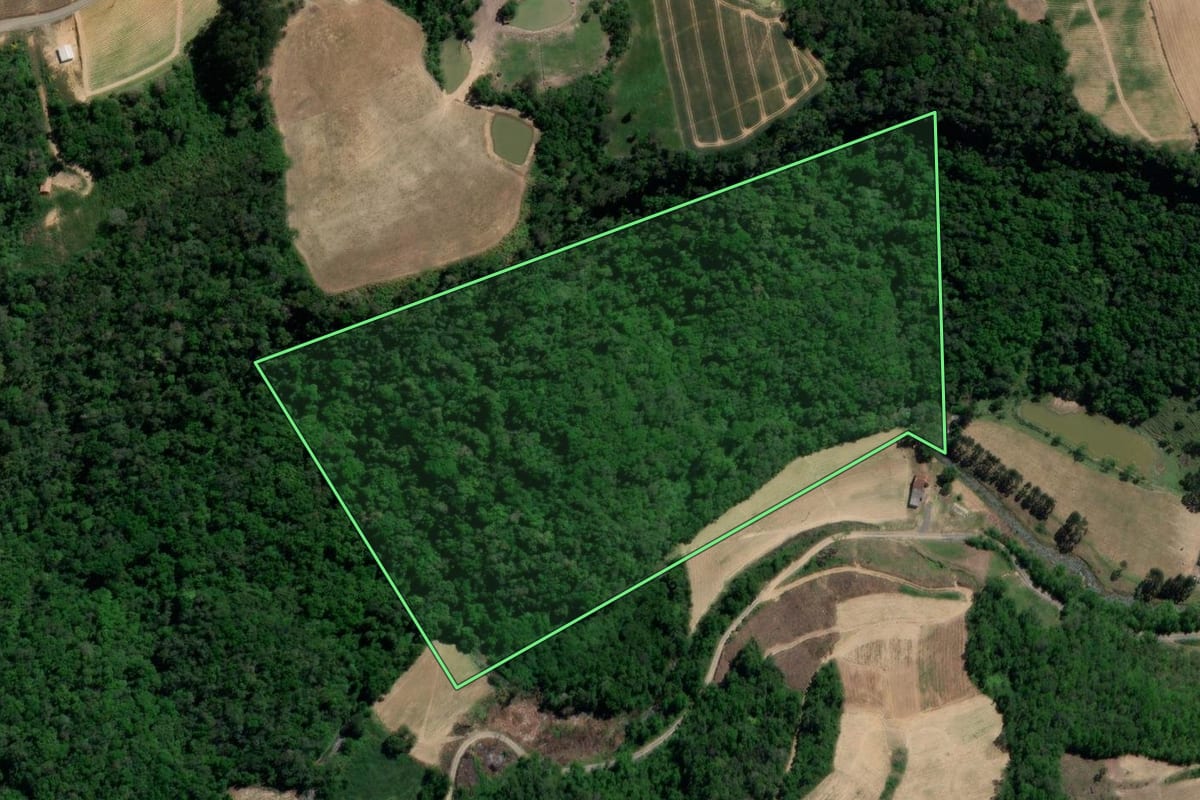 Imagem de satélite do imóvel rural em Ituporanga (SC), com o contorno declarado no CAR desenhado por cima.