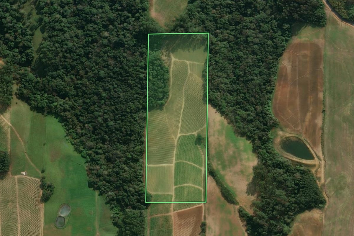 Imagem de satélite do imóvel rural em Ituporanga (SC), com o contorno declarado no CAR desenhado por cima.