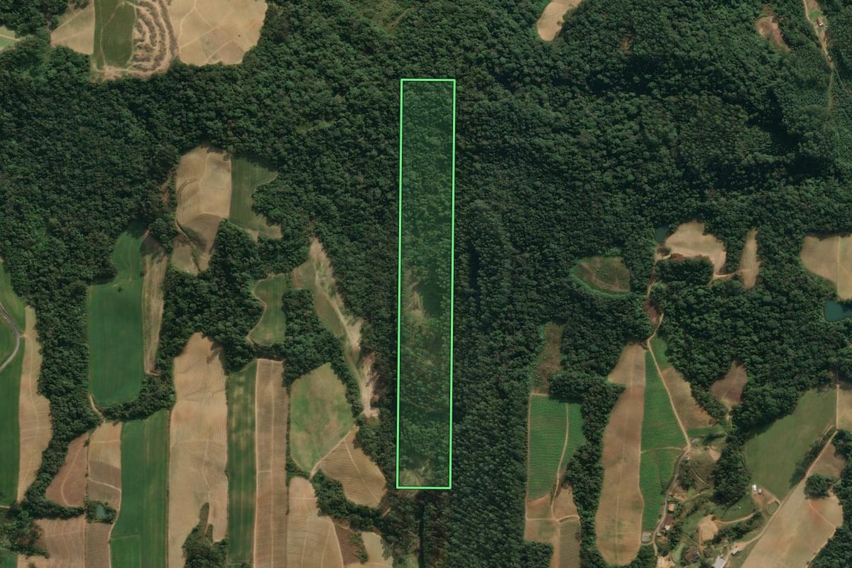 Imagem de satélite do imóvel rural em Ituporanga (SC), com o contorno declarado no CAR desenhado por cima.