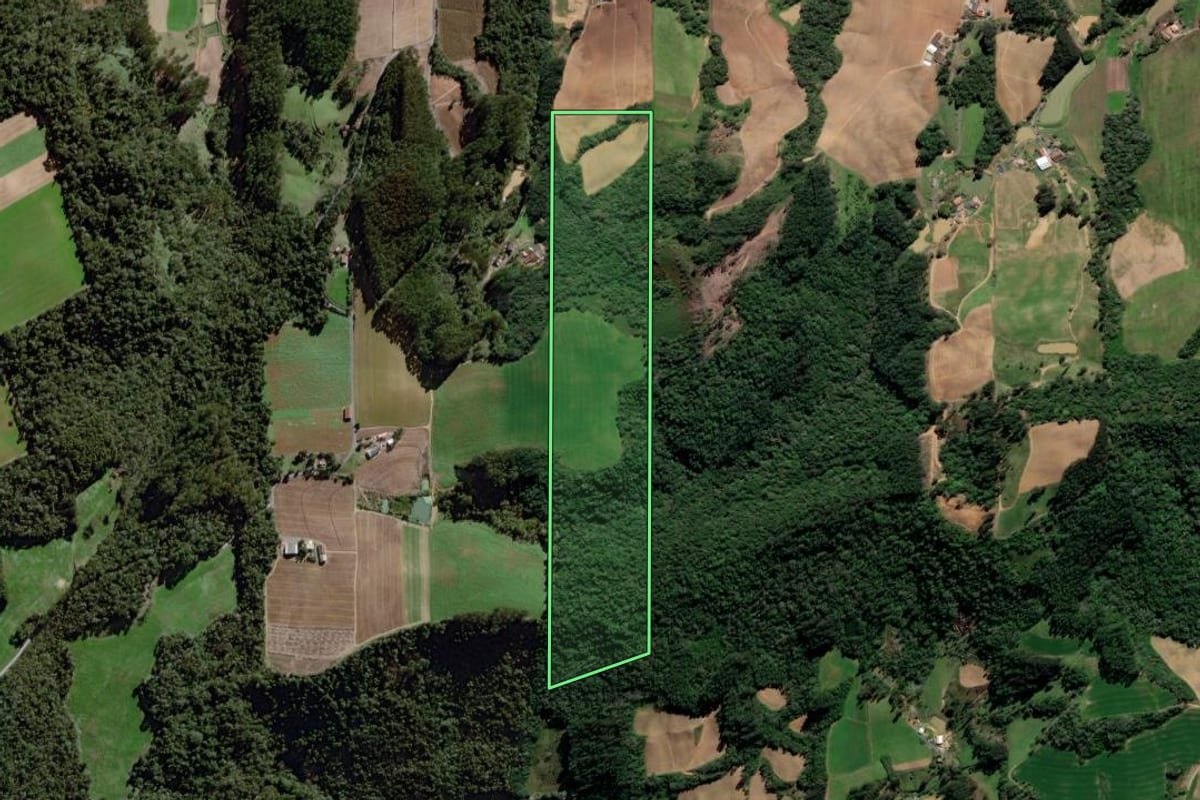 Imagem de satélite do imóvel rural em Ituporanga (SC), com o contorno declarado no CAR desenhado por cima.