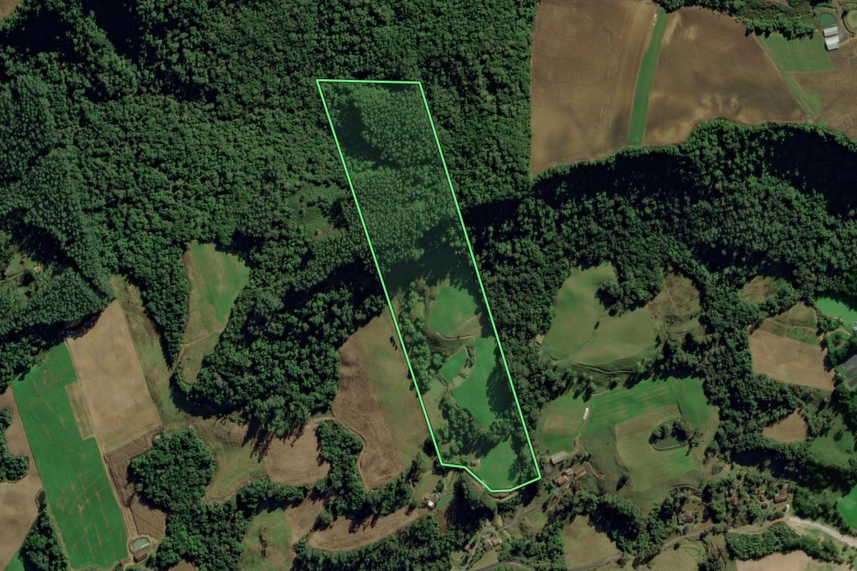 Imagem de satélite do imóvel rural em Ituporanga (SC), com o contorno declarado no CAR desenhado por cima.