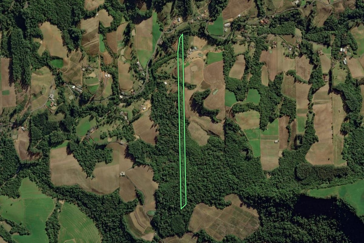 Imagem de satélite do imóvel rural em Ituporanga (SC), com o contorno declarado no CAR desenhado por cima.